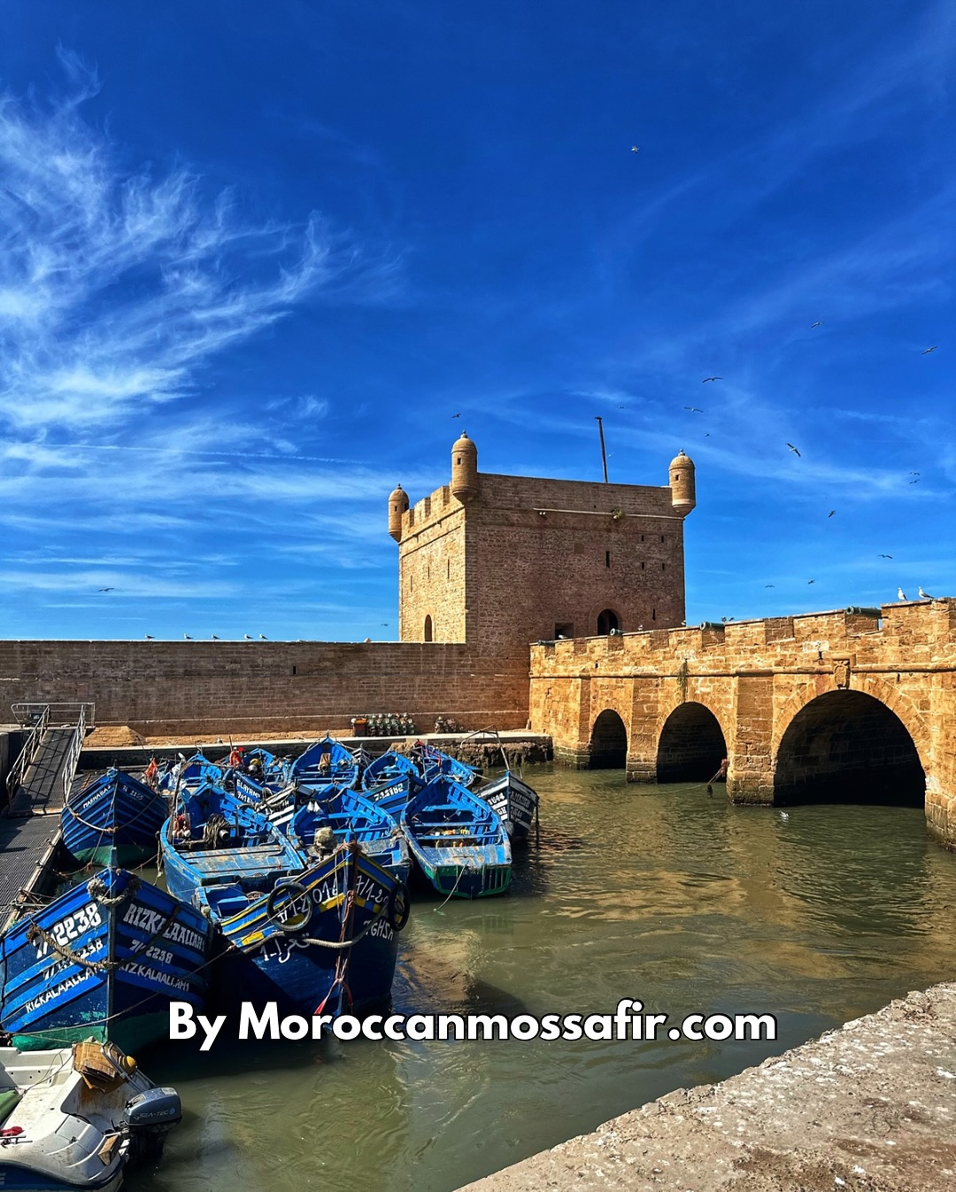 Mardi : Essaouira / Diabat