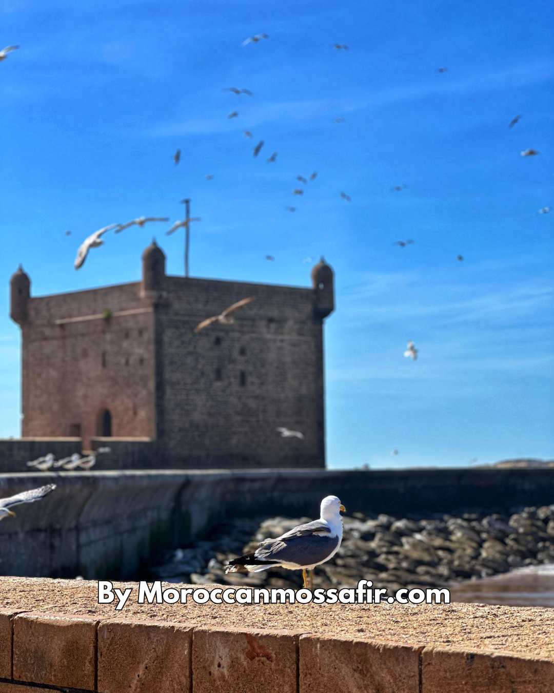 Lundi : Départ vers Essaouira